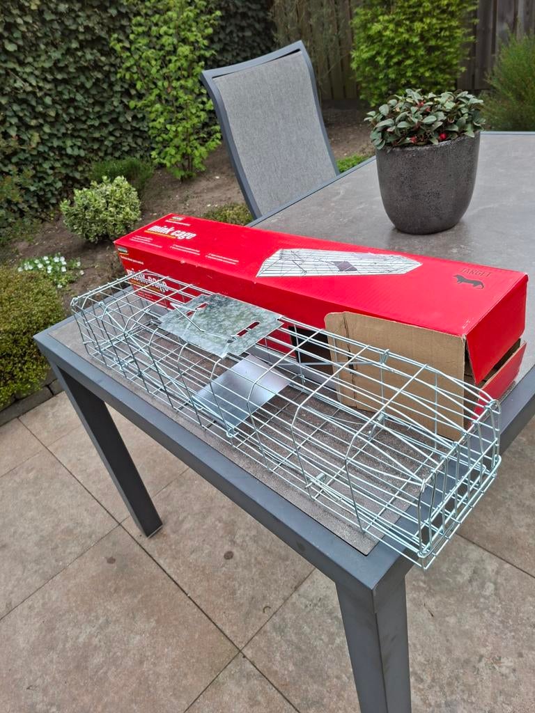 Vangkooi, Minder dan 60 cm, Kooi, Ophalen of Verzenden, Minder dan 75 cm