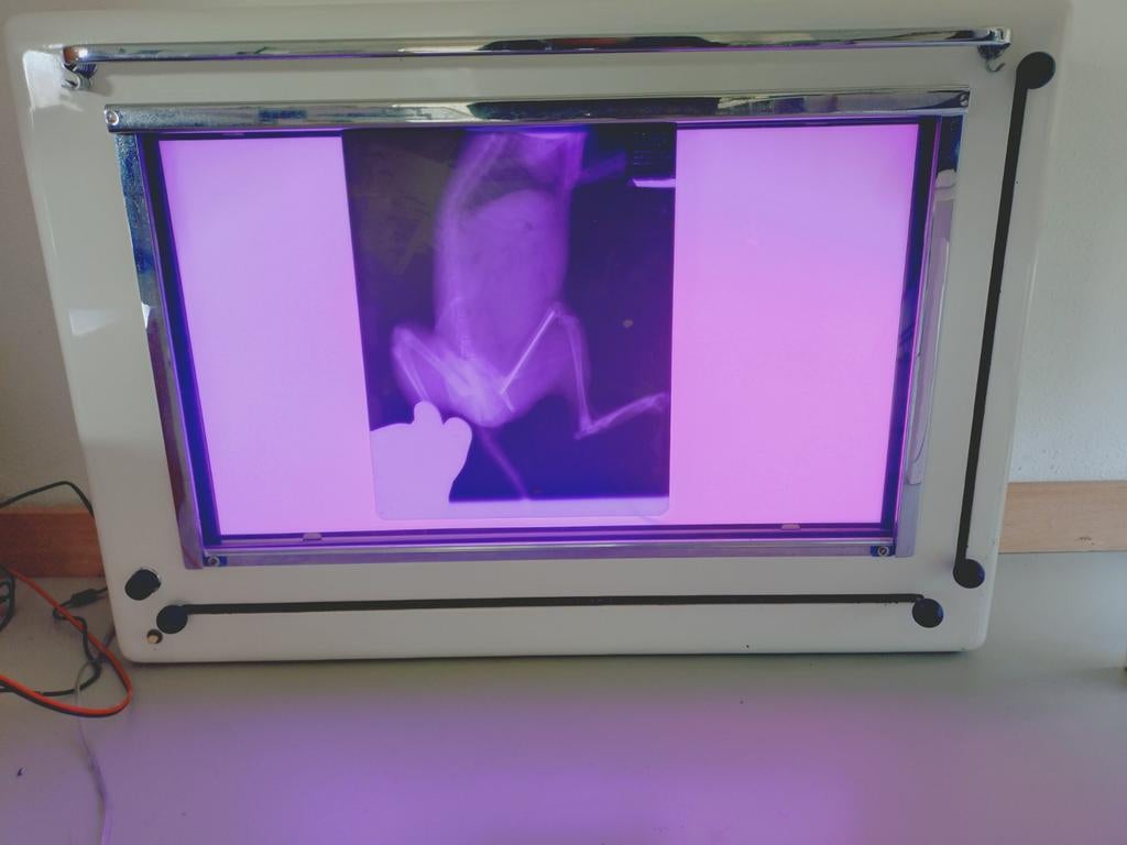 Vintage röntgenfoto lichtbak met LED verlichting, Antiek en Kunst, Ophalen