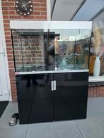 Te koop Eheim Aquarium Incperia 300, Dieren en Toebehoren, Vissen | Aquaria en Toebehoren, Ophalen, Gebruikt, Leeg aquarium