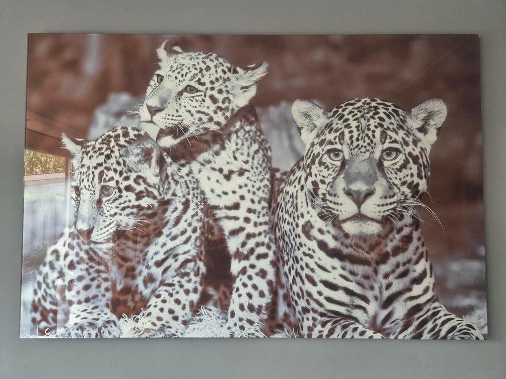 Mooi schilderij van Glas., Ophalen