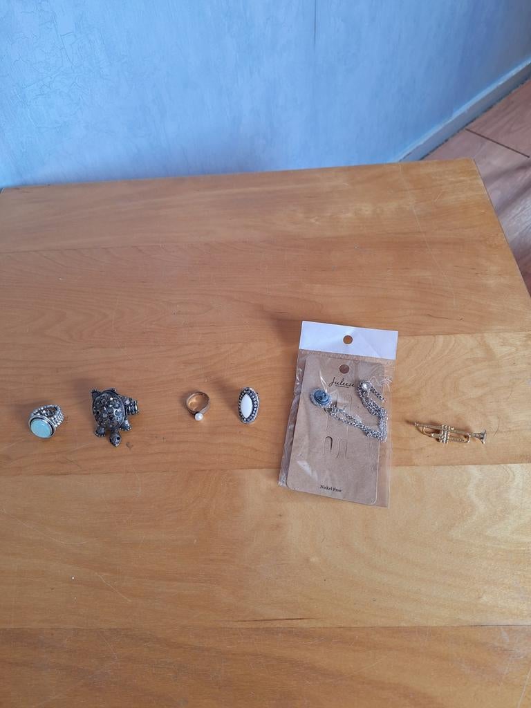 4 ringen en 2 broches, Gebruikt, Ophalen of Verzenden, 17 tot 18, Dame