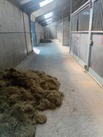 4 stallen te huur, Dieren en Toebehoren, Stalling, 4 paarden of pony's of meer