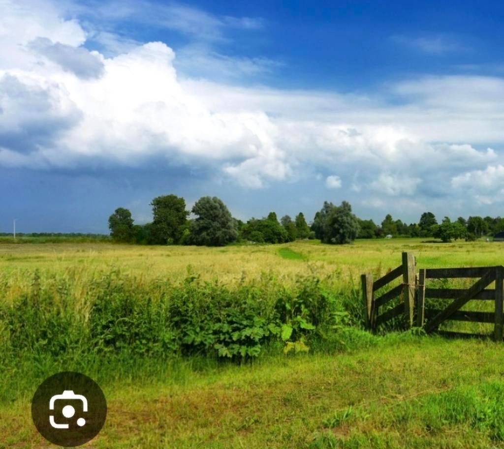 Gezocht (stukje) weide/boomgaard te koop voor hanenopvang!