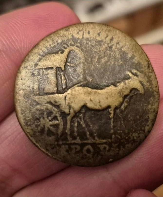 Romeins sestertius Domitianus 1ste eeuw brons bodemvondst, Ophalen of Verzenden, Italië