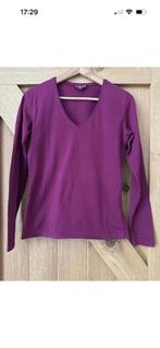 Paarse lange mouw tshirt, top maat 38 (M), Maat 38/40 (M), Paars, Nieuw, Ophalen of Verzenden