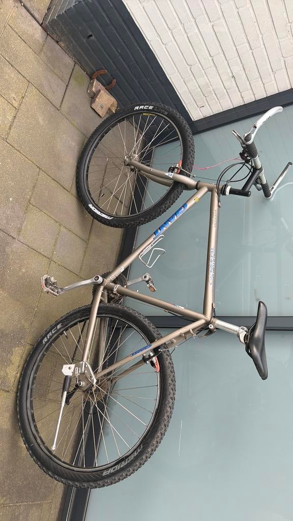 Giant Mountainbike, Fietsen en Brommers, Fietsen | Mountainbikes en ATB, Ophalen, Zo goed als nieuw, Giant