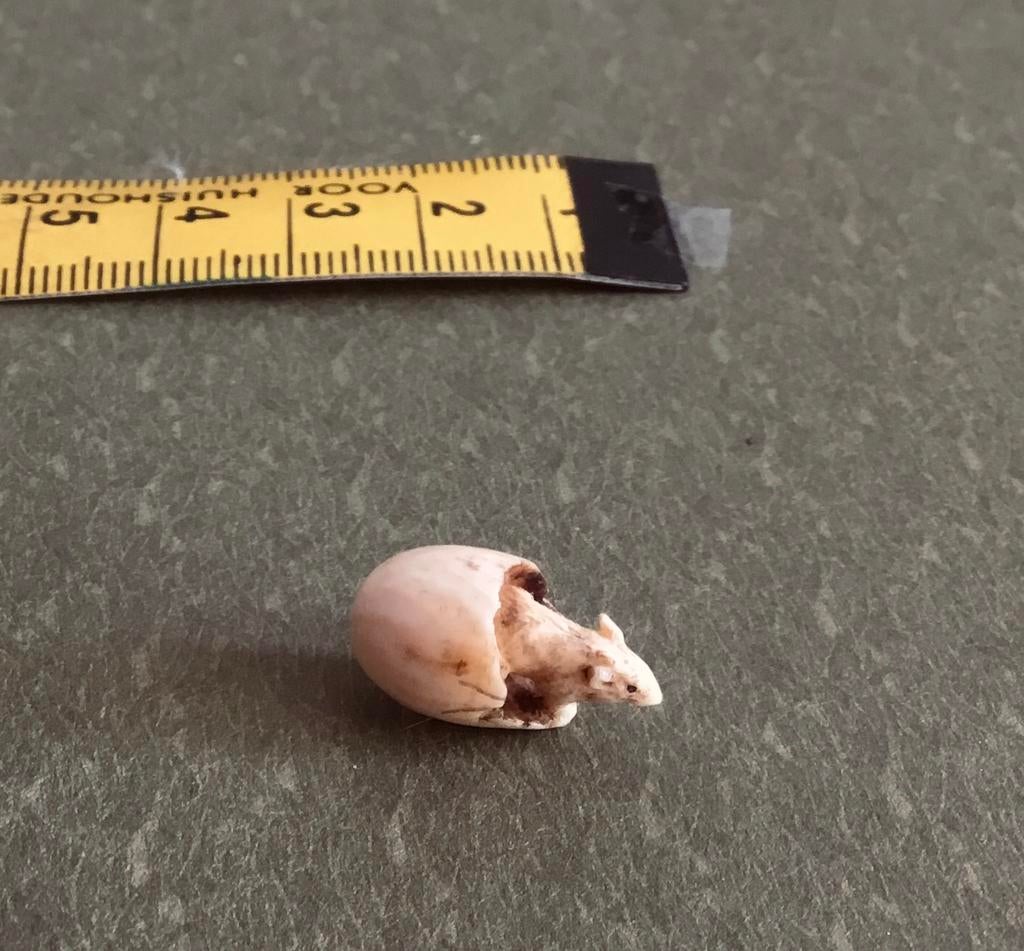 Piepklein Ratje, Japanse Okimono, 19e eeuw, Antiek en Kunst, Ophalen of Verzenden