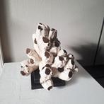 Mooi beige zeepokken cluster ornament op zwarte voet, Nieuw, Ophalen of Verzenden, X, X