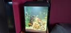 juwel aquarium 60x30x40, Ophalen, Zo goed als nieuw, Leeg aquarium