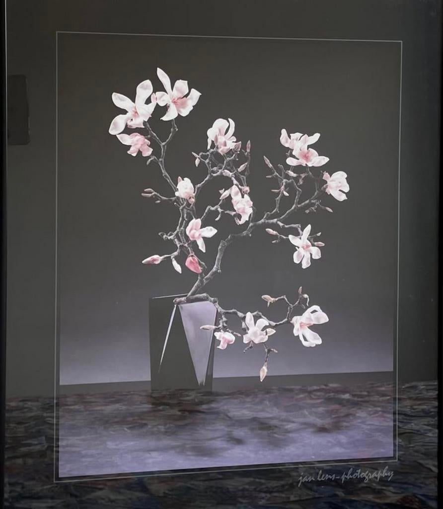 Te koop fotolijst met poster.H 61x B 51. Zelf afhalen., Antiek en Kunst, Ophalen