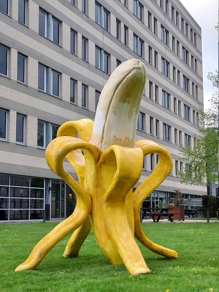 "De Banaan", Ophalen