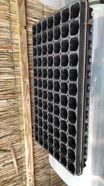 Zaaitray verschillende maten. 0,50 per stuk, Ophalen, Gebruikt