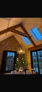 Prachtige Kasteellamp (hanglamp) in Nieuwstaat, Huis en Inrichting, Lampen | Hanglampen, Ophalen, Klassiek, Nieuw, Glas