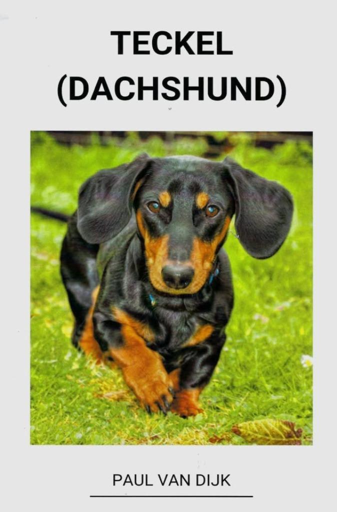 BOEKWERK TECKEL ( DACHSHUND ), Boeken, Dieren en Huisdieren, Nieuw, Honden, Ophalen of Verzenden