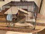 Hamster paradijs, Kooi, Minder dan 75 cm, Minder dan 60 cm, Gebruikt