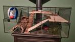 Grote hamsterkooi, Minder dan 60 cm, Kooi, Minder dan 75 cm, Ophalen of Verzenden