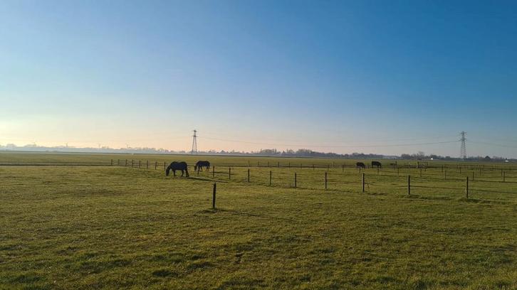 Stal vrij op boerderij, Dieren en Toebehoren, Stalling en Weidegang, Stalling