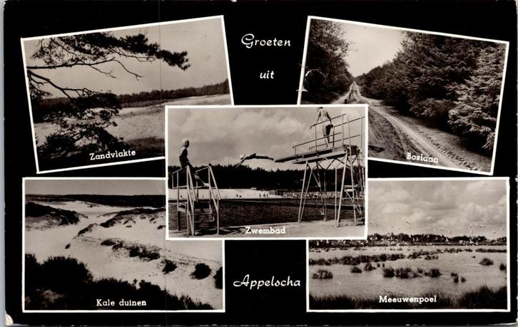 Groeten uit Appelscha - 3 ansichtkaarten (1964), Verzamelen, Ansichtkaarten | Nederland, Gelopen, Friesland, 1960 tot 1980, Verzenden