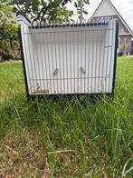Te koop show vogel kooien, Dieren en Toebehoren, Vogels | Hokken en Kooien, Ophalen, Hout, Vogelkooi