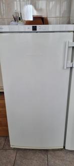 Liebherr koelkast BIEDEN via MARKTPLAATS., Ophalen, Zonder vriesvak, 200 liter of meer, 160 cm of meer