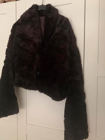 Teddy winterjasje beschikbaar voor biedingen