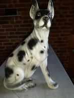 Beeld van Duitse / Deense dog 42 cm. Aardewerk, Ophalen of Verzenden, Mens