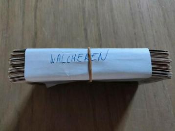 Lot GRATIS Walcheren Zeeland Boer Ko beschikbaar voor biedingen
