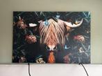 Alu-Dibond wanddecoratie schotse hooglander– 150x100 cm, Huis en Inrichting, Ophalen, Zo goed als nieuw, 125 cm of meer, 75 cm of meer