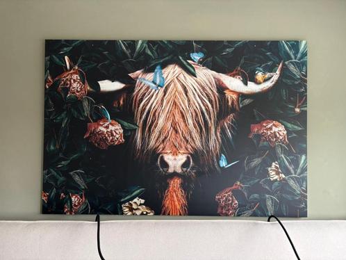 Alu-Dibond wanddecoratie schotse hooglander– 150x100 cm, Huis en Inrichting, Woonaccessoires | Schilderijen, Tekeningen en Foto's