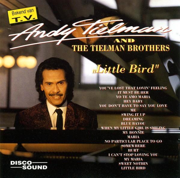 Andy Tielman - Little Bird CD, Cd's en Dvd's, Cd's | Rock, Zo goed als nieuw, Poprock, Ophalen of Verzenden