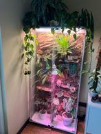 Indoor greenhouse, Ophalen, Halfschaduw, 150 tot 200 cm