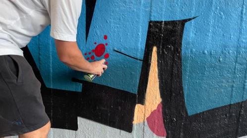 Graffiti Lab – Unieke muurschilderingen & workshops, Diensten en Vakmensen, Kunstenaars en Portretschilders, Schilderkunst, Tekeningen