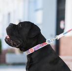 WAUDOG Summer Lederen Halsband Wit Nek 38-49 cm KOOPJE!!!, Dieren en Toebehoren, Ophalen of Verzenden, Handgemaakt, Nieuw