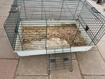 Kooi / verblijf voor hamster of cavia of konijnen transport beschikbaar voor biedingen