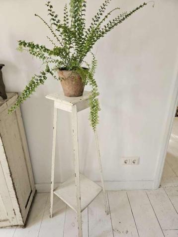 brocante franse plantentafel ``WOONWINKEL RUSTIEK`` beschikbaar voor biedingen