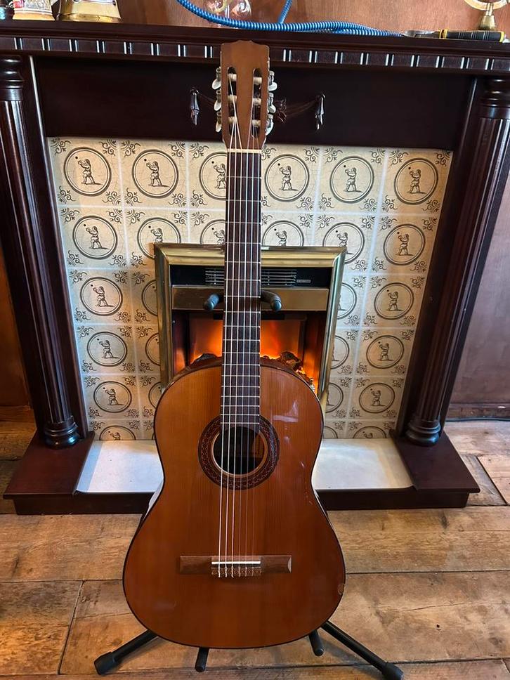 Roderich paesold, Muziek en Instrumenten, Snaarinstrumenten | Gitaren | Akoestisch, Zo goed als nieuw, Western- of Steelstringgitaar