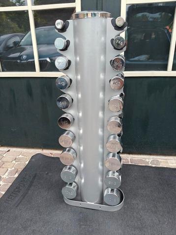 Chrome dumbellset 1 t/m 10 kg inclusief toren beschikbaar voor biedingen