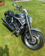 HD VRSCA V-Rod Anniversary 2003, 2 cilinders, Chopper, 1130 cc, Particulier