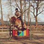 Verzorgpony leasepony aangeboden, Ophalen of Verzenden, Overige soorten