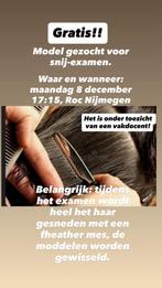 Gratis! Model gezocht voor mijn snij-examen (ROC Nijmegen), Knippen