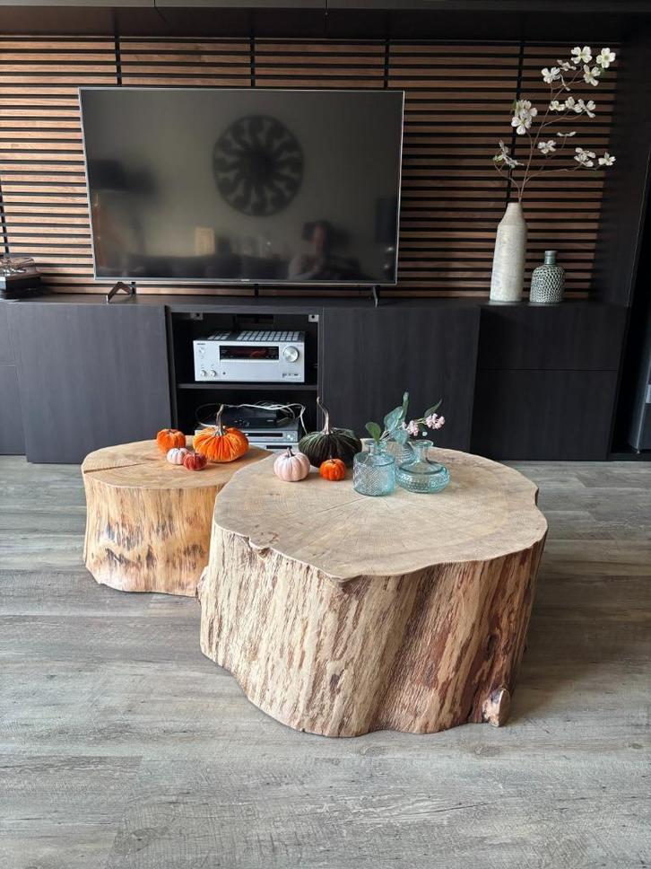 2 x Boomstam tafels salontafel bijzettafel, Huis en Inrichting, Tafels | Salontafels, Zo goed als nieuw, Minder dan 50 cm, 50 tot 100 cm