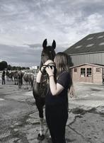 Bijrijder aangeboden/lease paard gezocht, Dieren en Toebehoren, Ophalen of Verzenden