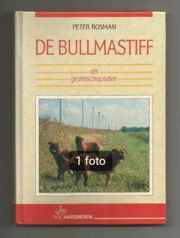 De bullmastiff - Peter Bosman  Peter Bosman beschikbaar voor biedingen