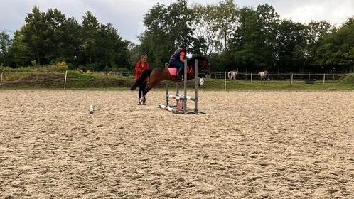 De perfecte en super lieve Sportpony, Dieren en Toebehoren, Pony's, Merrie, B, C pony (1.27m tot 1.37m), Springpony, 3 tot 6 jaar