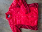 rood puffer jack van WOLFSKIN maat XL, Maat 46/48 (XL) of groter, Ophalen of Verzenden, Zo goed als nieuw, WOLFSKIN