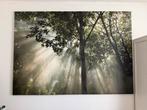 Ikea poster, Huis en Inrichting, Woonaccessoires | Schilderijen, Tekeningen en Foto's, 125 cm of meer, Ophalen of Verzenden, Zo goed als nieuw