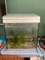 Superfish aqua 30, Ophalen of Verzenden, Zo goed als nieuw