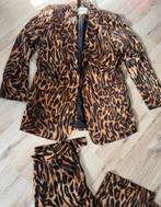 Panter pak Shoeby, Kleding | Dames, Jasjes, Kostuums en Pakken, Ophalen of Verzenden, Zo goed als nieuw, Maat 34 (XS) of kleiner