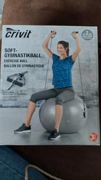 Gymnastiekbal met banden - Crivit NIEUW IN DOOS, Ophalen, Nieuw, Buik, Fitnessbal