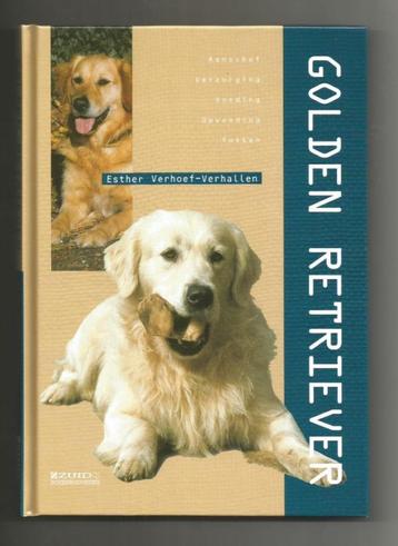 Golden Retriever - Esther Verhoef-Verhallen   beschikbaar voor biedingen